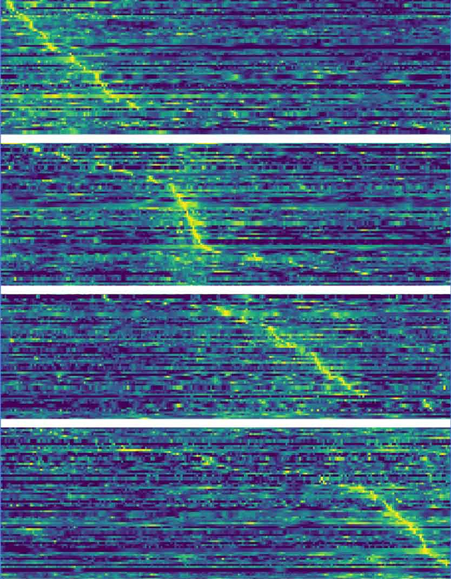 NeuronScan