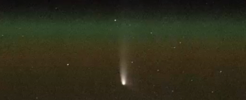 Newly Discovered Comet Now Visible. Here’s How to See ‘Comet of The Year’. : ScienceAlert