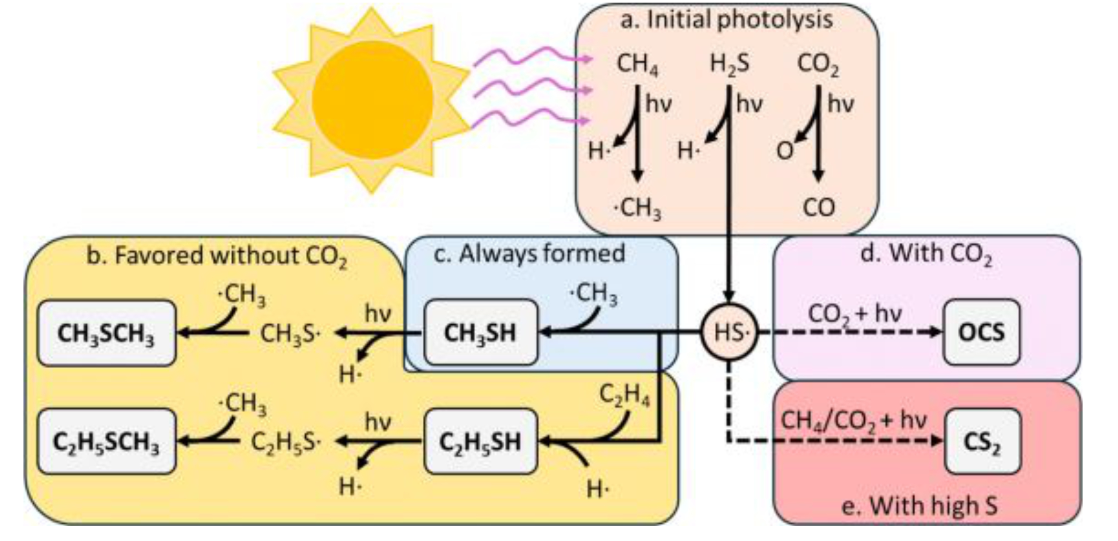 dimethyl sulphide pathway