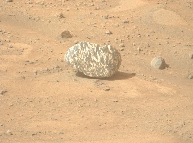 Perseverance Discovered a Zebra-Striped Rock on Mars, And NASA Is Excited