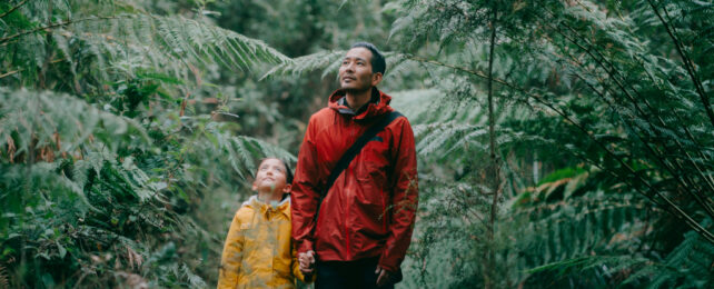 man and a child walking under ferns