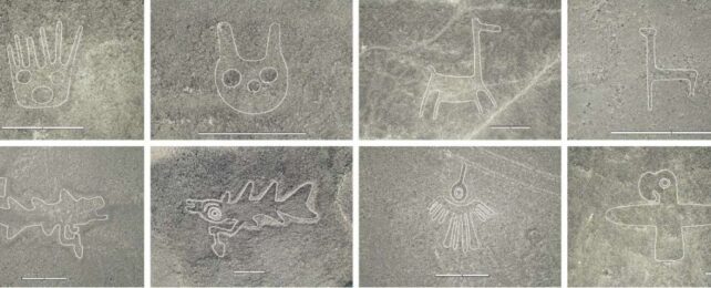 Hundreds of Mysterious Nazca Glyphs Have Just Been Revealed