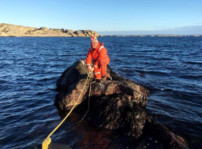 Rocky Islet Experiment