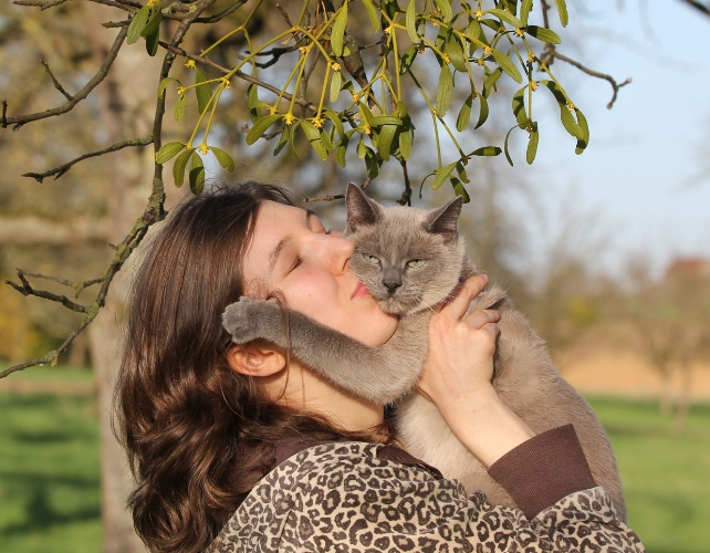 Human and cat hugging