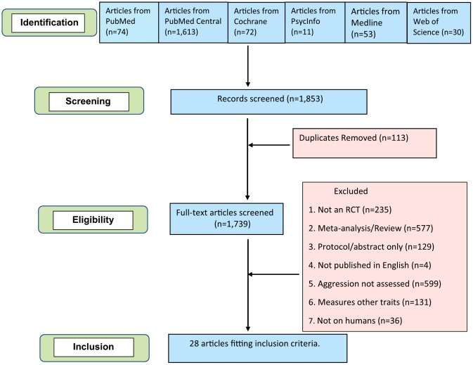 Flow diagram detailing steps of review process.