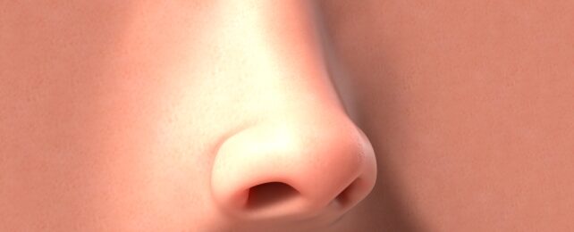 human nose