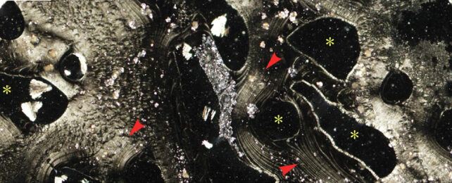 Hydrothermal vents