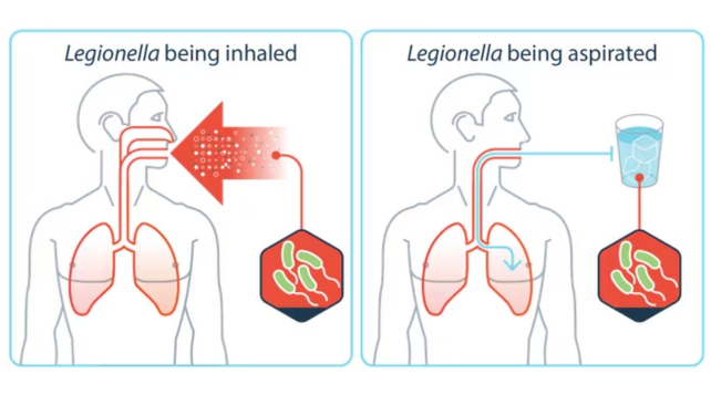 Graphic showing people inhaling and aspirating Legionella