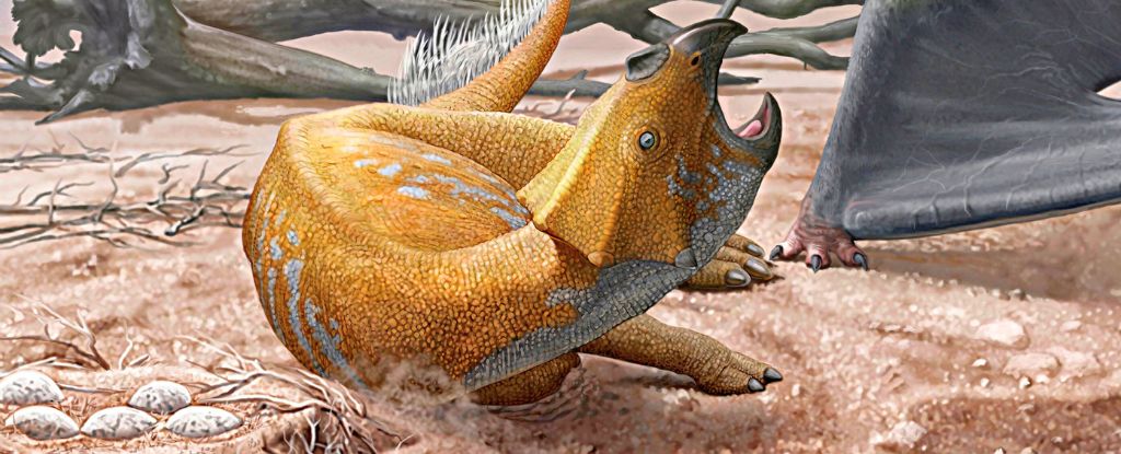 Gli scienziati esaminano l’interno del più piccolo uovo di dinosauro mai trovato: ScienceAlert