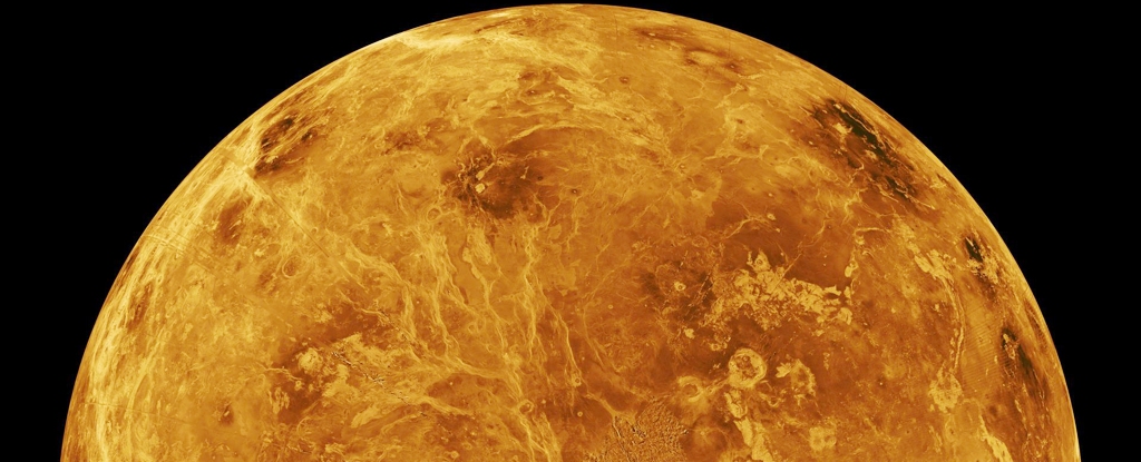 Venus Hemisphere