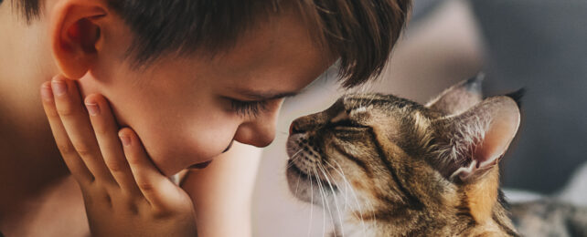 boy and a cat