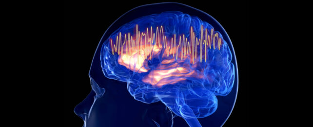 graphic of a transparent head with view of brain and waves representing activity