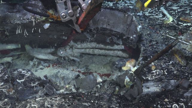 Animal Life Has Been Discovered Thriving Underneath The Seafloor at Hydrothermal Vents