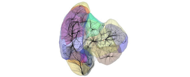 local supercluster diagram