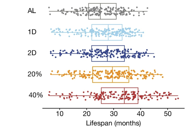 mouse diet control lifespan