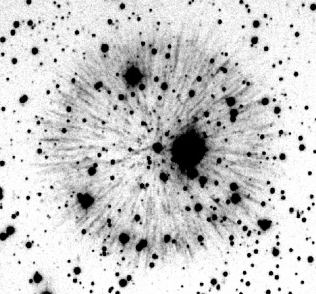 An 1181 Supernova Is Expanding in The Sky Like a Dandelion Clock