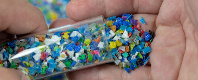 plastic pellets poured into a person's hand