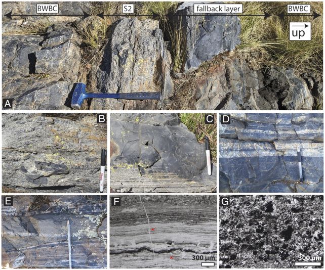 A Giant Meteorite 200 Times Bigger Than The Dino Killer May Have Boosted Life on Earth