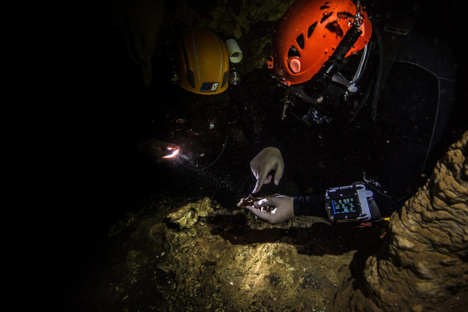 Divers from the Dominican Republic Speleological Society observe Antillothrix fossils underwater. (Zachary Klukkert)