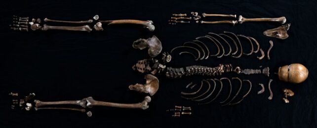 This Skeleton Is The First Person Ever Found From a Norse Saga