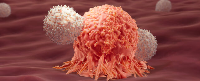 graphic of cancer cell being attacked by immune cells