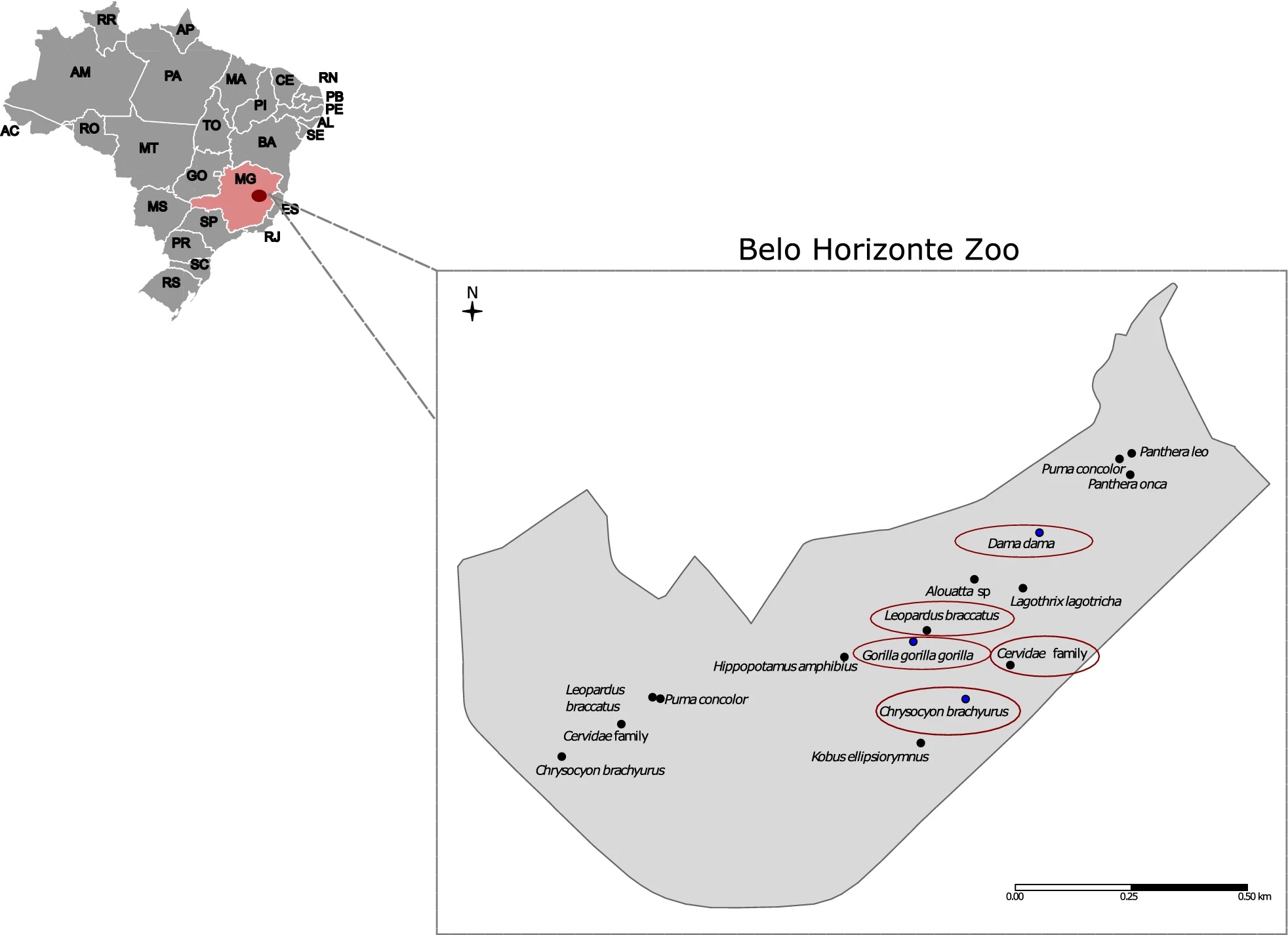 map shows infected species were in the same 'neighbourhood' of the zoo