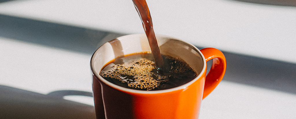 Caffeine Seems to Have a Blocking Effect on Dopamine, And Here's Why post image