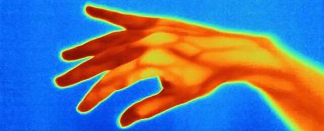 Hand Through Thermal Camera