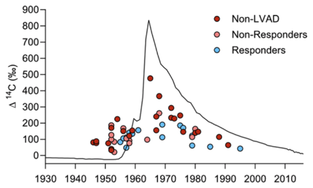 Radioactive carbon chart