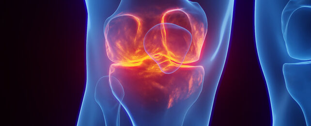 Inflamed knee pain