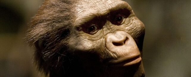 Lucy Is 50: How a Bombshell 1974 Discovery Redefined Human Origins