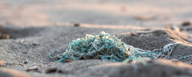 Plastic on the beach