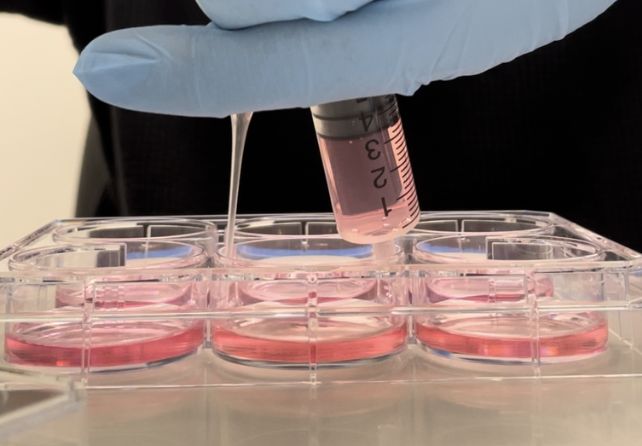 Researcher with gloves syringing chemicals into petri dishes