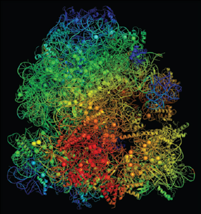 ‘Achilles Heel’ of Drug-Resistant Micro organism Has Been Discovered, Scientists Say