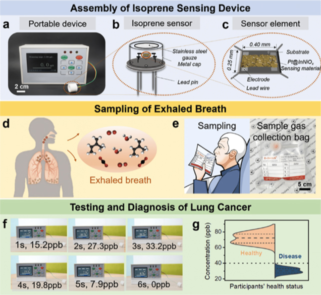 Indicators of Lung Most cancers Can Now Be Detected When You Exhale