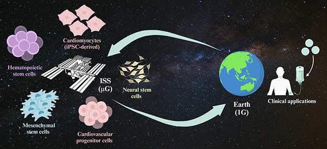 Experiments in space