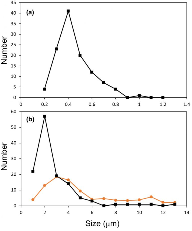 graph of bacteria size distribution 