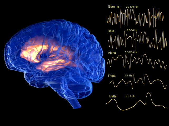 cerveau avec différentes ondes