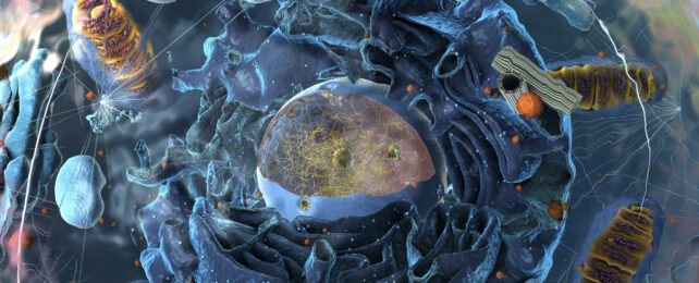 3D artist render of cell with organelles