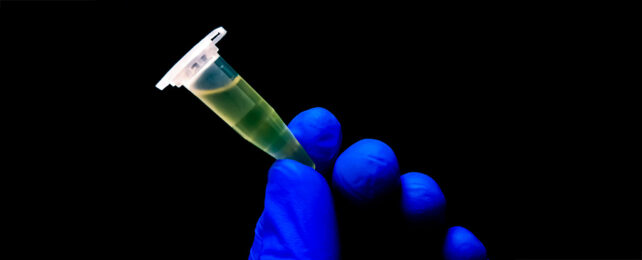 a blue-gloved hand holds up a plastic Eppendorf Tube containing a clear, yellowish liquid, on a black background.