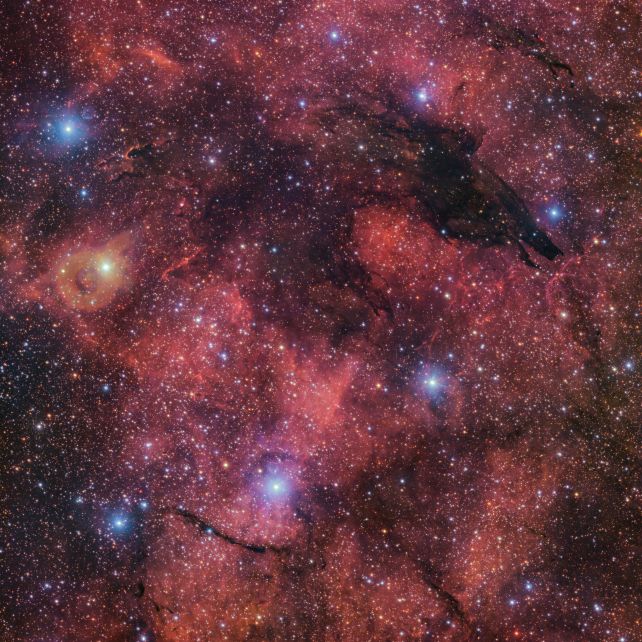 Eerie 'Dark' Nebula Forms The Shape of a Wild Wolf Amid The Stars