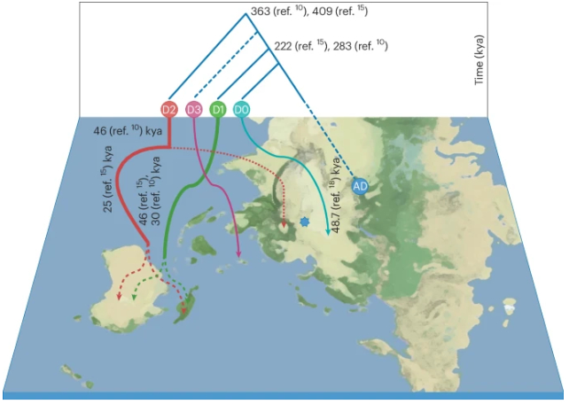 map of world with denisovan lineages