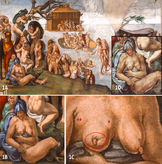 close up of breast in Michelangelo's flood painting