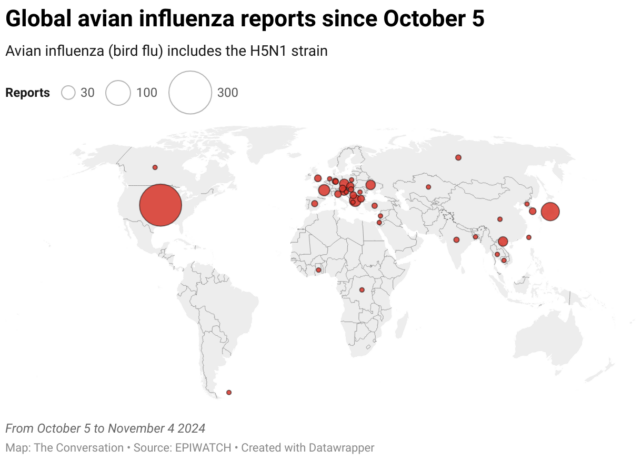 Experts Reveal What The Pig With Bird Flu in Oregon Really Signifies