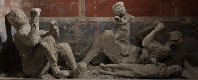 Pompeii DNA Overturns Long-Held Assumptions About Its Victims