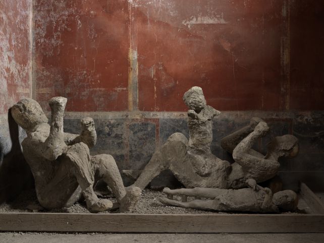 Pompeii DNA Overturns Assumptions About Roles And Relationships in Ancient Rome