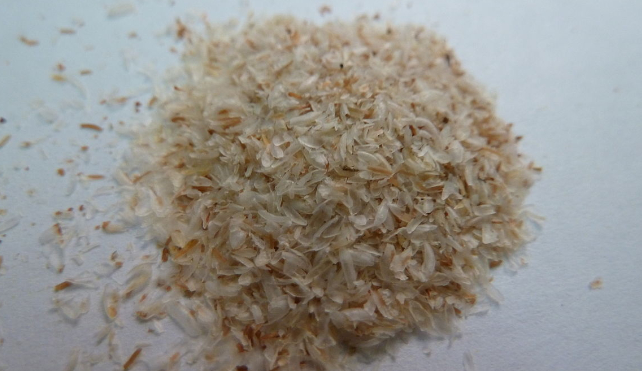 pile of psyllium husks