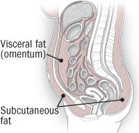 Belly Fat and Dementia Risk: What New Research Reveals