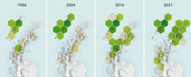 map of greener areas in antarctica