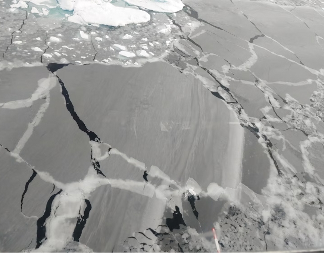 Gray cracked ice on an ocean